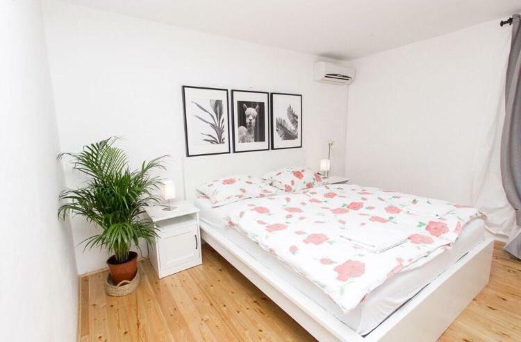 Apartments And Rooms Ille ชิเบนิก ภายนอก รูปภาพ