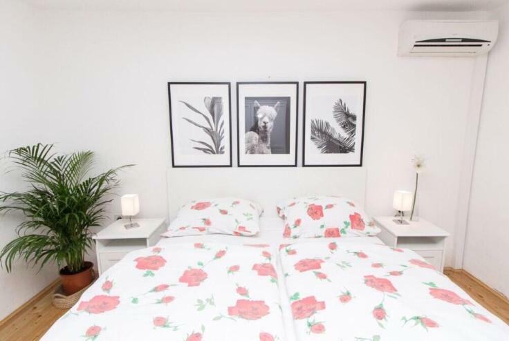 Apartments And Rooms Ille ชิเบนิก ภายนอก รูปภาพ